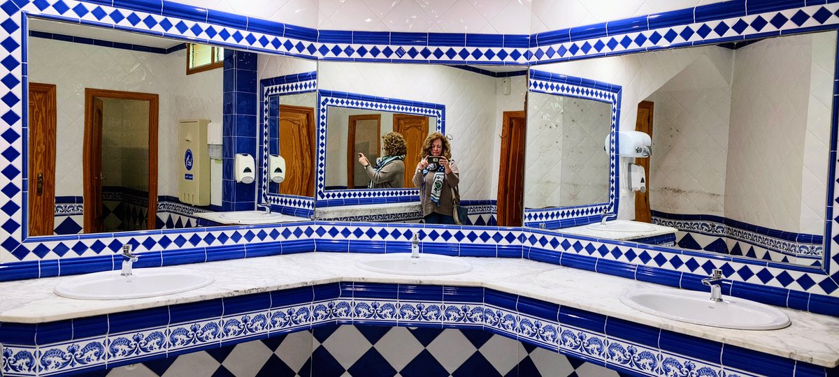 @DailyPicTheme2 My reflection in a ladies lavatory 🚺 decorated with traditional ceramics
