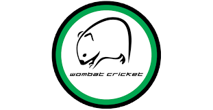 swsportsnews's tweet photo. let's smash it out the park shall we?
#teamSWSN #teamwork 
#ff @WombatCricket @weareverde_uk @CoachingTek 💙 https://t.co/URxgdwxR7b