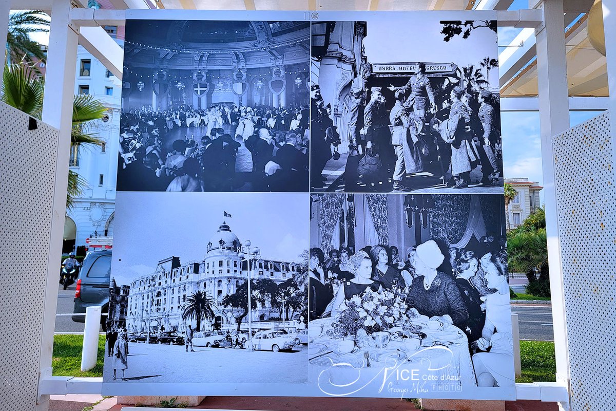 Georges MIHA tweet media