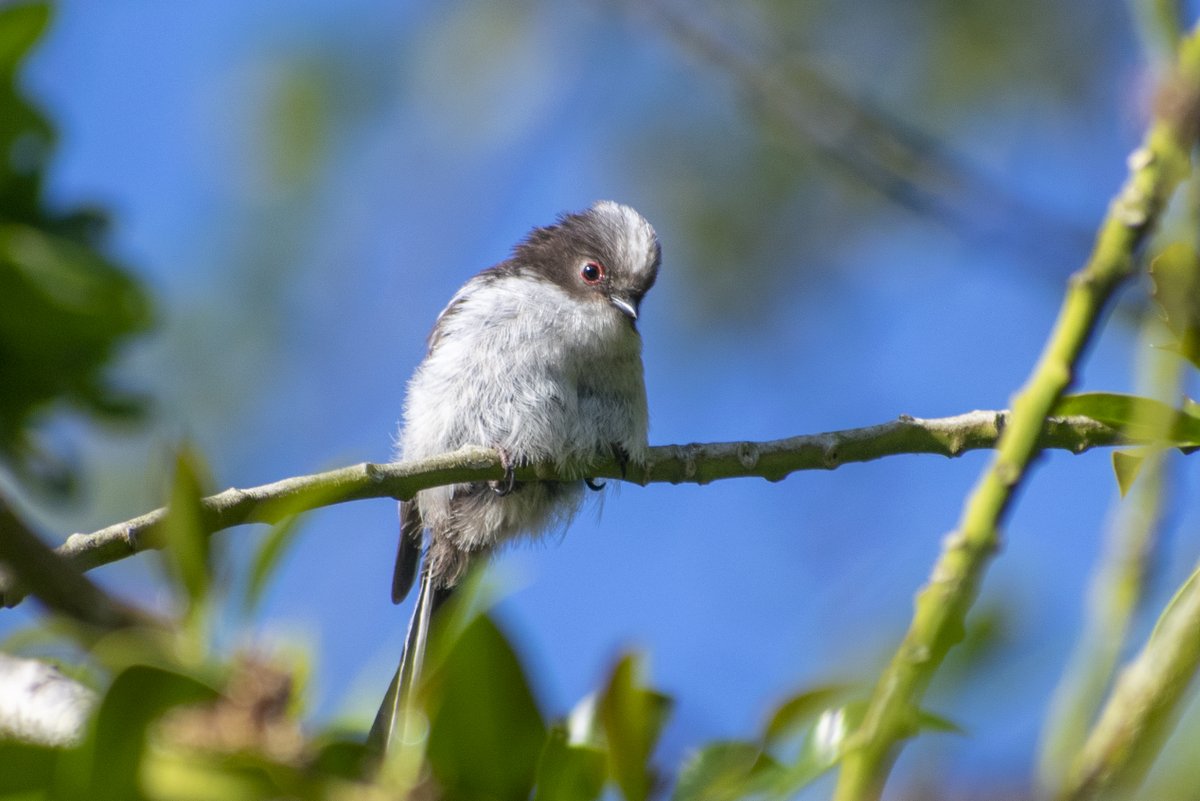 Forest Tracker 🇺🇦 tweet media