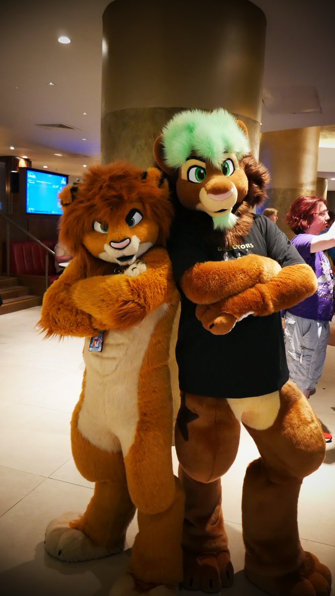 Baddest lions at the con 😎🦁

#FursuitFriday #Cfz2023