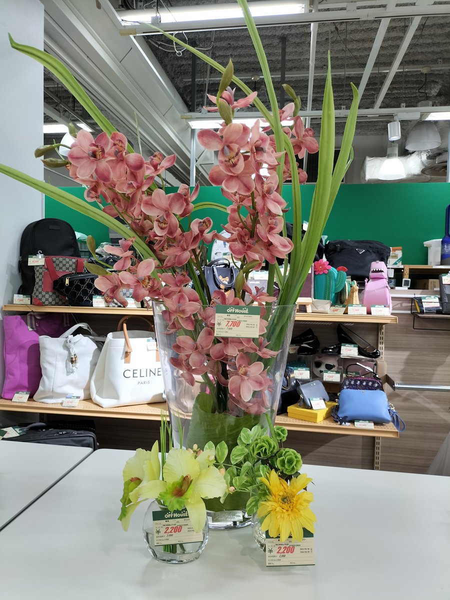 off_marinpia's tweet photo. EMILIO ROBBAのアートフラワー入荷しました🌼 店内が一気に明るく華やかになりました🌟 ジメジメした季節なのでお部屋を明るく
しませんか?🤗
#アートフラワー
#EMILIOROBBA
#お部屋を明るく華やか https://t.co/uaOQOfiTZi
