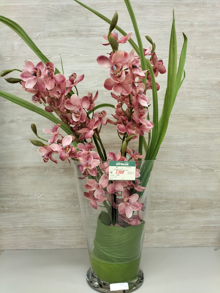 off_marinpia's tweet photo. EMILIO ROBBAのアートフラワー入荷しました🌼 店内が一気に明るく華やかになりました🌟 ジメジメした季節なのでお部屋を明るく
しませんか?🤗
#アートフラワー
#EMILIOROBBA
#お部屋を明るく華やか https://t.co/uaOQOfiTZi