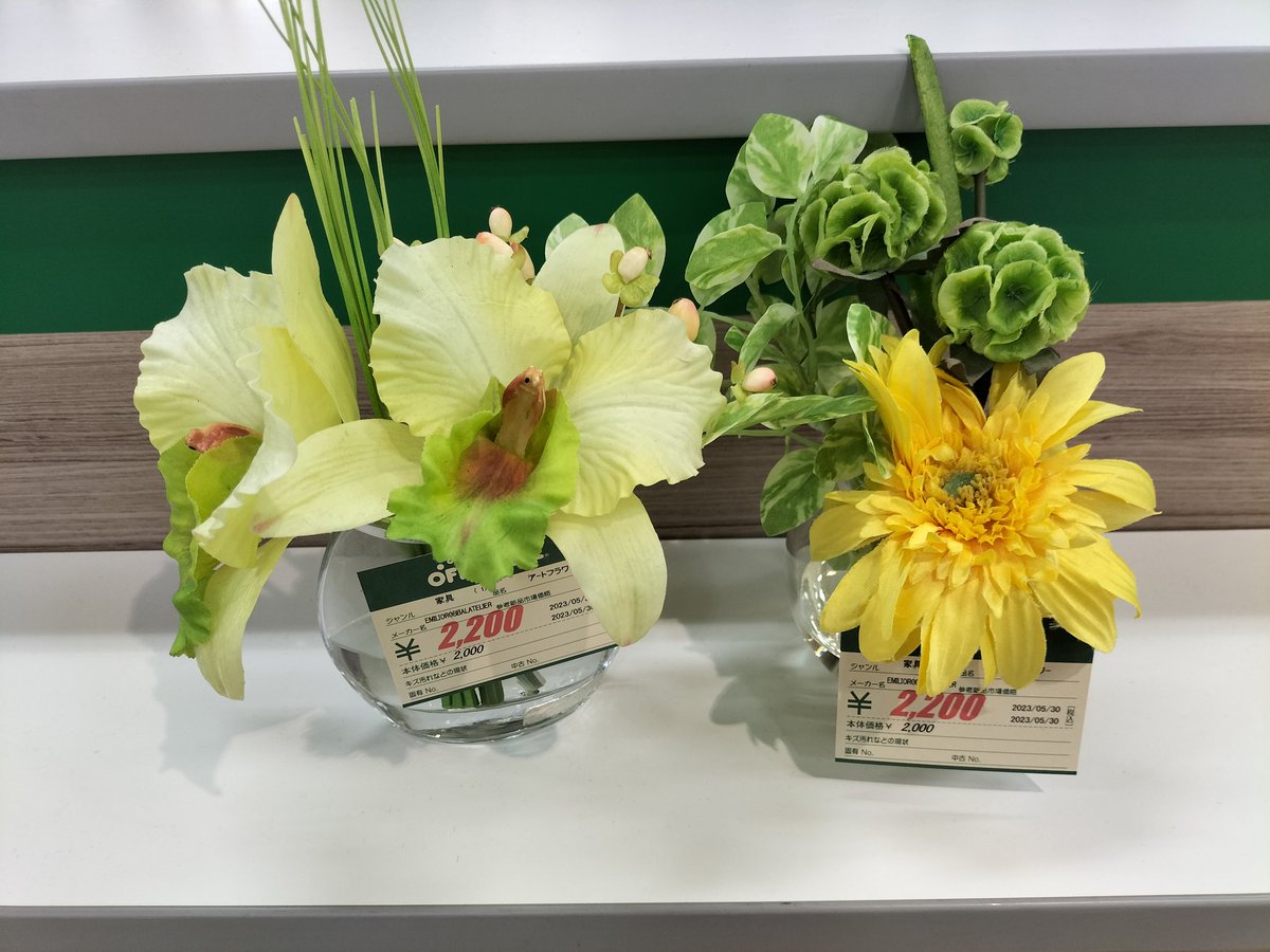 off_marinpia's tweet photo. EMILIO ROBBAのアートフラワー入荷しました🌼 店内が一気に明るく華やかになりました🌟 ジメジメした季節なのでお部屋を明るく
しませんか?🤗
#アートフラワー
#EMILIOROBBA
#お部屋を明るく華やか https://t.co/uaOQOfiTZi