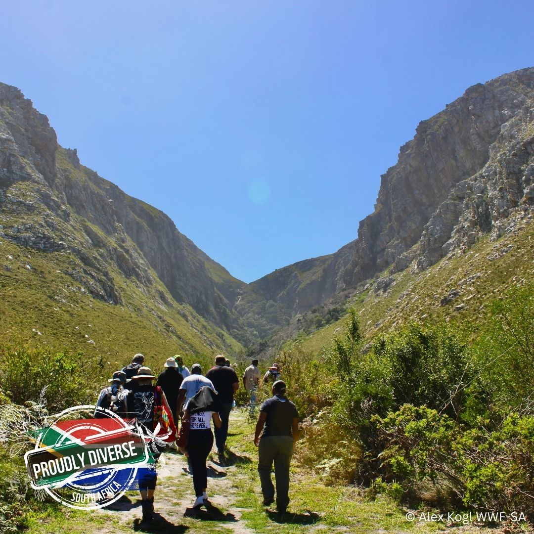 Have you been to the Kogelberg?🌺Read our blog and explore the magical blend of dramatic mountains and abundant plant, bird and animal in the heart of the fynbos kingdom: pulse.ly/k5wqqtiqna #ProudlyDiverseZA