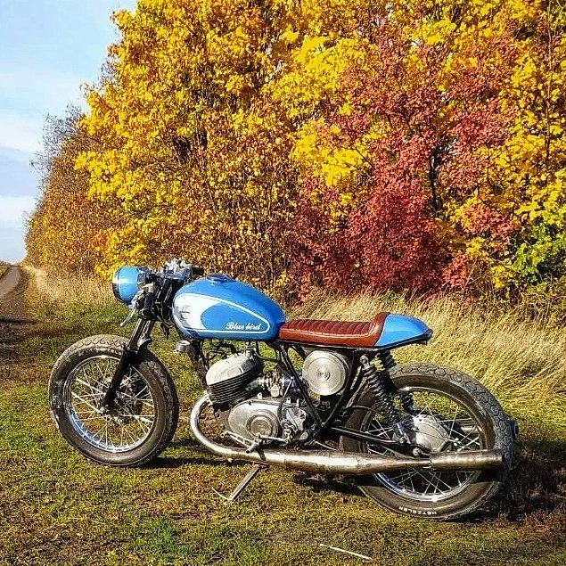 IZH Jupiter 250
'Blue Bird'
Viktor Vetushniak

#caferacercult #ItsTimeToBeCult #CrCult #caferacer #izh #custommotorcycle