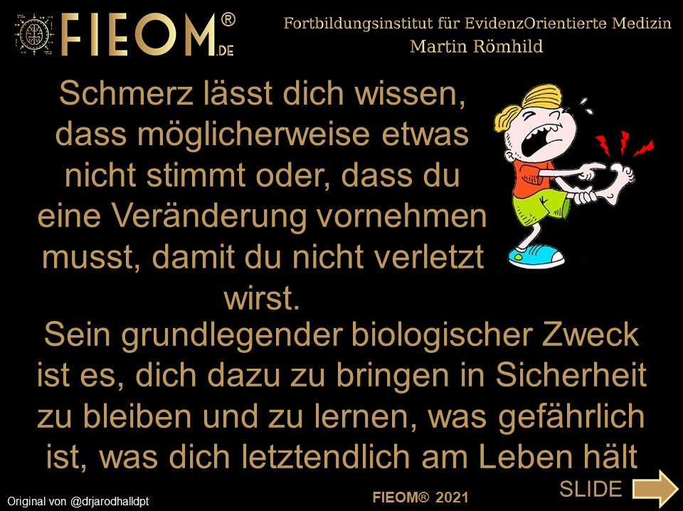 FIEOMde's tweet photo. https://t.co/QDuamA5PXx