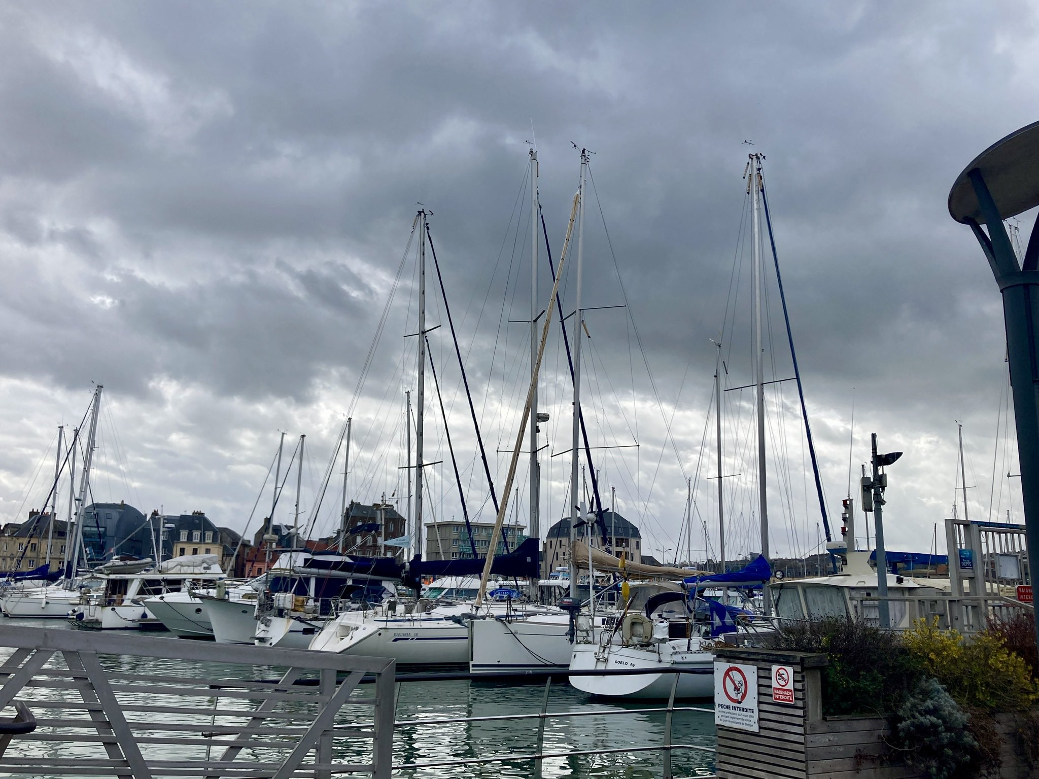 Jamila Mimouni (Mimouni_Jamila) / Twitter