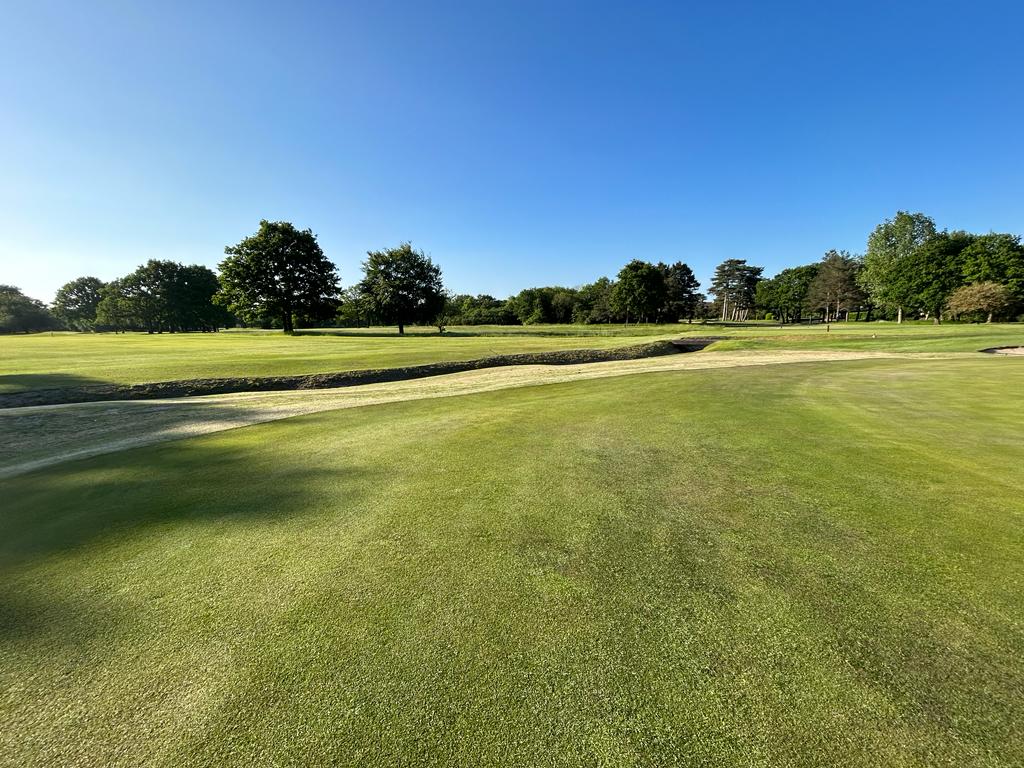 Turf quality is on point. <a href="/FulwellGC/">Fulwell Golf Club</a> is pretty impressive

<a href="/ryan_bezzant/">Ryan Bezzant</a> 

#Golf #Agronomy #AgronomyGolf #GolfMaintenance