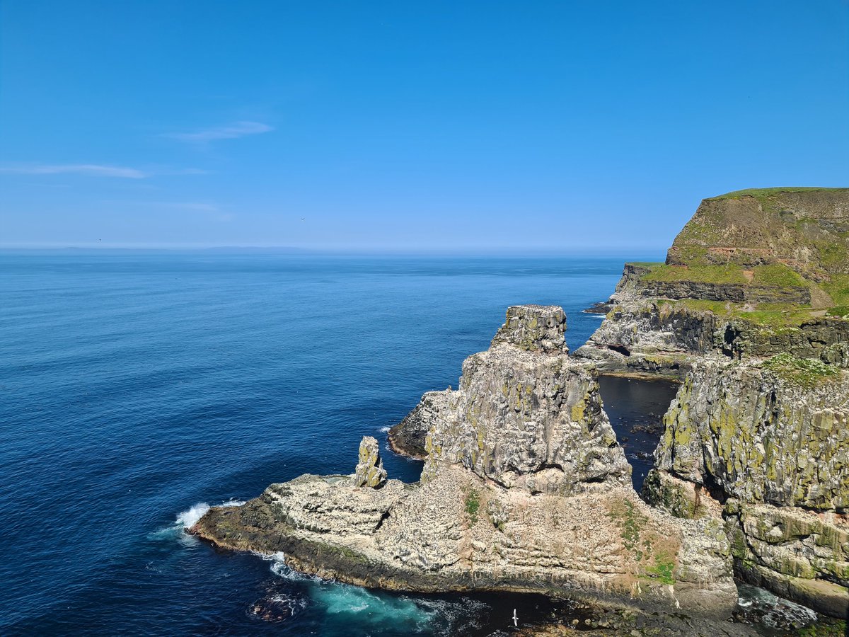 ionicimhotep's tweet photo. @StephenTrew @RSPBNI @_Stickybeak @natureofrathlin Sounds just like my couple of days on Rathlin - I was staying in the nearby cottage 😀 https://t.co/pe7f1lzAvg