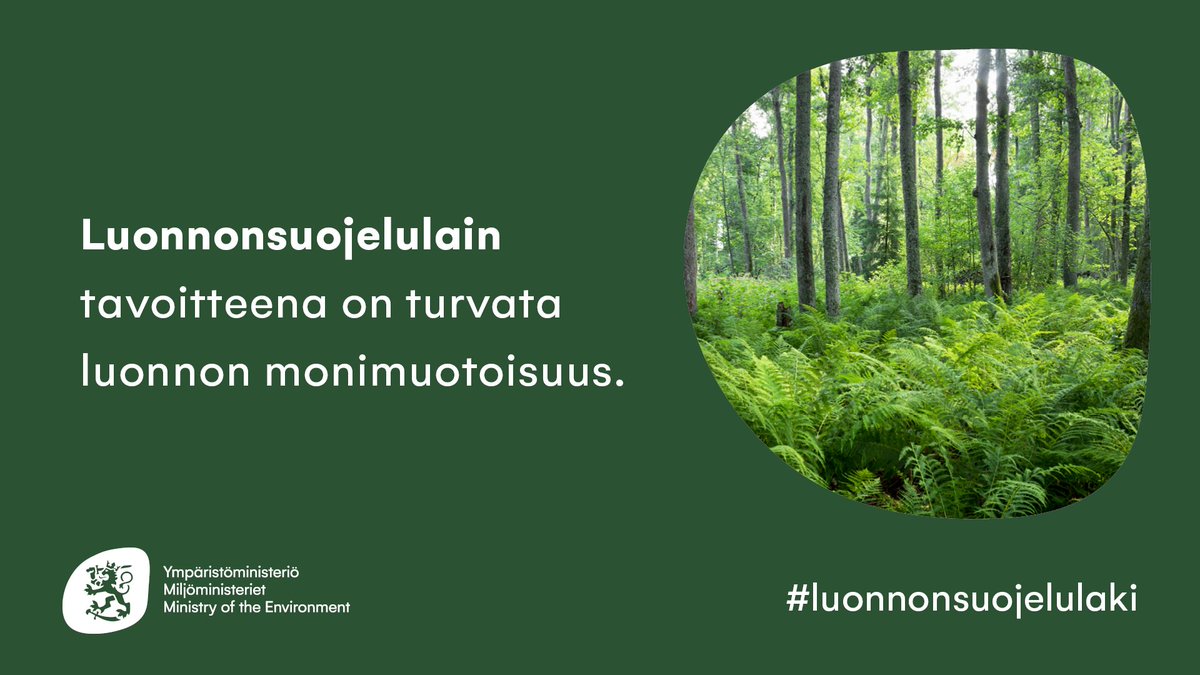 Uusi #luonnonsuojelulaki on siis voimassa, ja aloitan tässä epäsäännöllisen säännöllisesti päivittyvän ketjun uuteen lakiin sisältyvistä uudistuksista tai muista merkityksellisistä asioista. Valinnat ovat subjektiivisia ja tiivistettyjä. Osa 1/x. #luonnonsuojelulaki2023