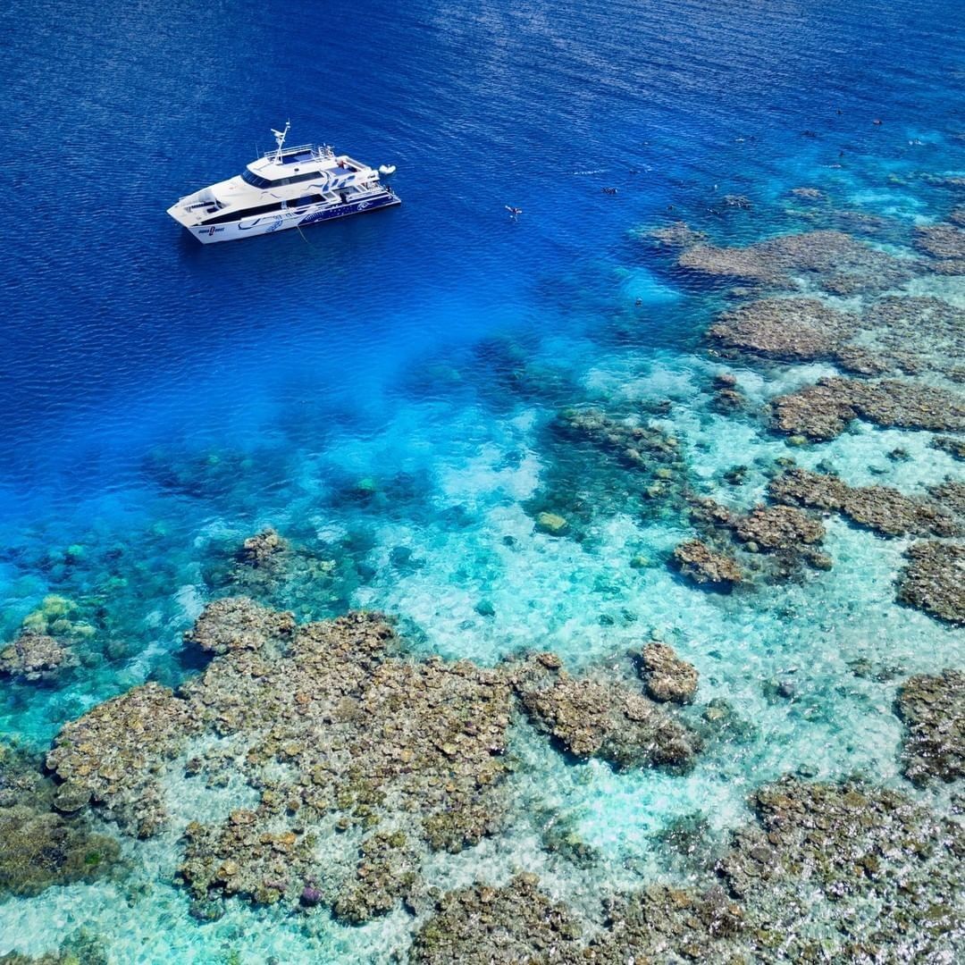 We're incredibly proud to see #SpiritofFreedom #DiversDen & #FranklandIslandCruises leading the way in using our online training and 
capacity-building resources to enhance their commitment to the #GreatBarrierReef and provide top-notch experiences: bit.ly/43iUNb6
