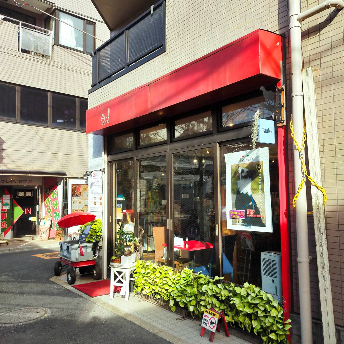 BedandStay's tweet photo. Looking for a gift for your pet, there is a cute shop one block from Bed&Stay. Spoil your dog with a toy from Japan.
Visit Tokyo and book your stay with us here:
https://t.co/rtWRKuOo2C
#bedstay #shops #nogata #traveling https://t.co/tVebsvgWa3