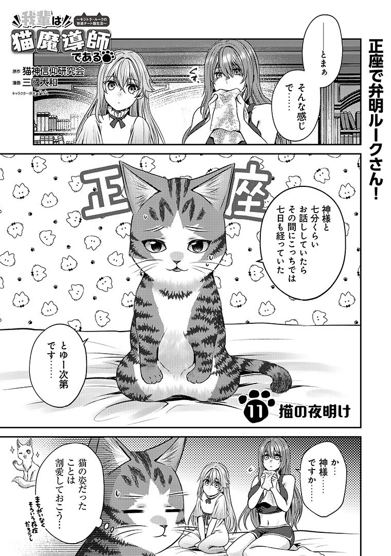🌟金曜日の ！🌟 『 』 正座で弁明する猫!?🐈💕 原作 .. | コミック