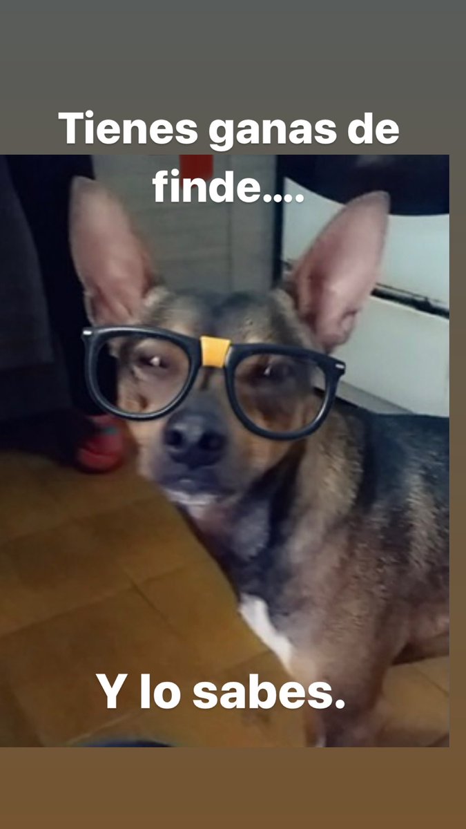 lzr_santasusana's tweet photo. Con esta cara me he levantado hoy….
¡ Feliz viernes! https://t.co/yz9z7hV9pL