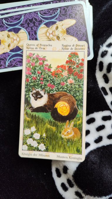 2 червня ваша #картадня у #таро це королева пентаклів. Гарний день, що стосується аспектів роботи - то<a href="/tag/%D0%BA%D0%B0%D1%80%D1%82%D0%B0%D0%B4%D0%BD%D1%8F"class="tags">#картадня</a><a href="/tag/%D1%82%D0%B0%D1%80%D0%BE"class="tags">#таро</a>