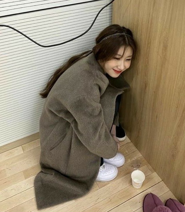 dailychaers's tweet photo. who let her out of my pocket https://t.co/0367LoTdnr
