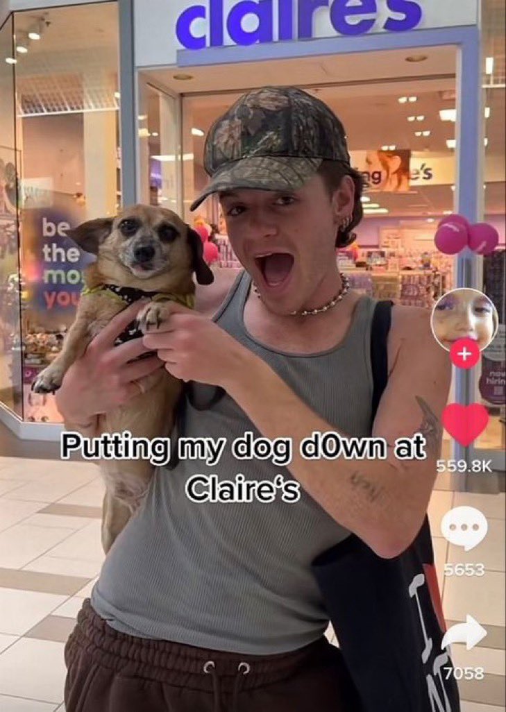 wildtiktokss's tweet image. 