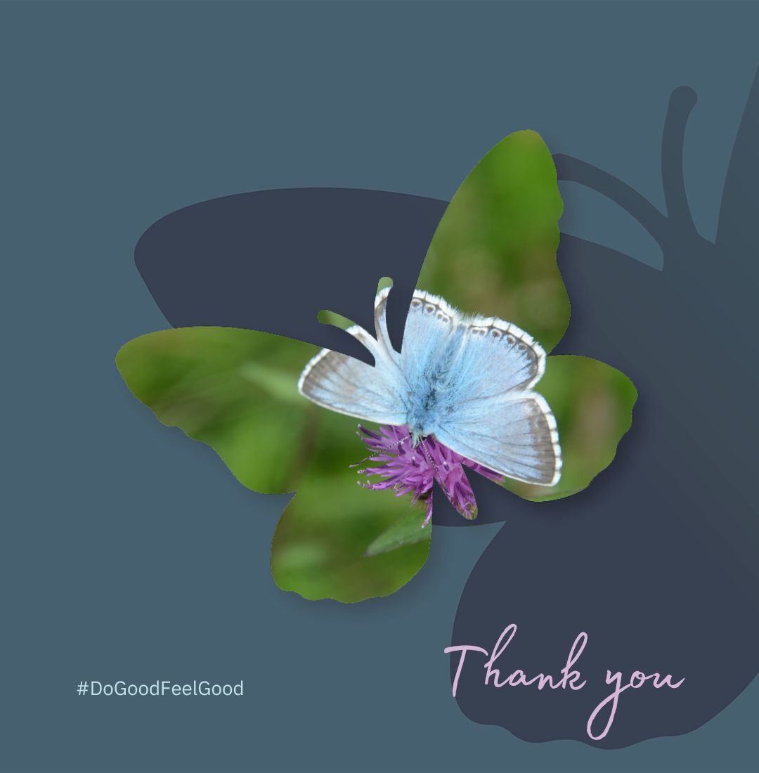 BloomingNative's tweet photo. 🌿 A heartfelt thank you to our incredible customers ✨
Your kind words mean the world to us 🌍❤️ and are a testament to the love and dedication we pour into Connecting to Nature, helping our community to 𝒅𝒐 𝒈𝒐𝒐𝒅 & 𝒇𝒆𝒆𝒍 𝒈𝒐𝒐𝒅
#Wellbeing #BiodiversityIreland https://t.co/IrzedipGb4