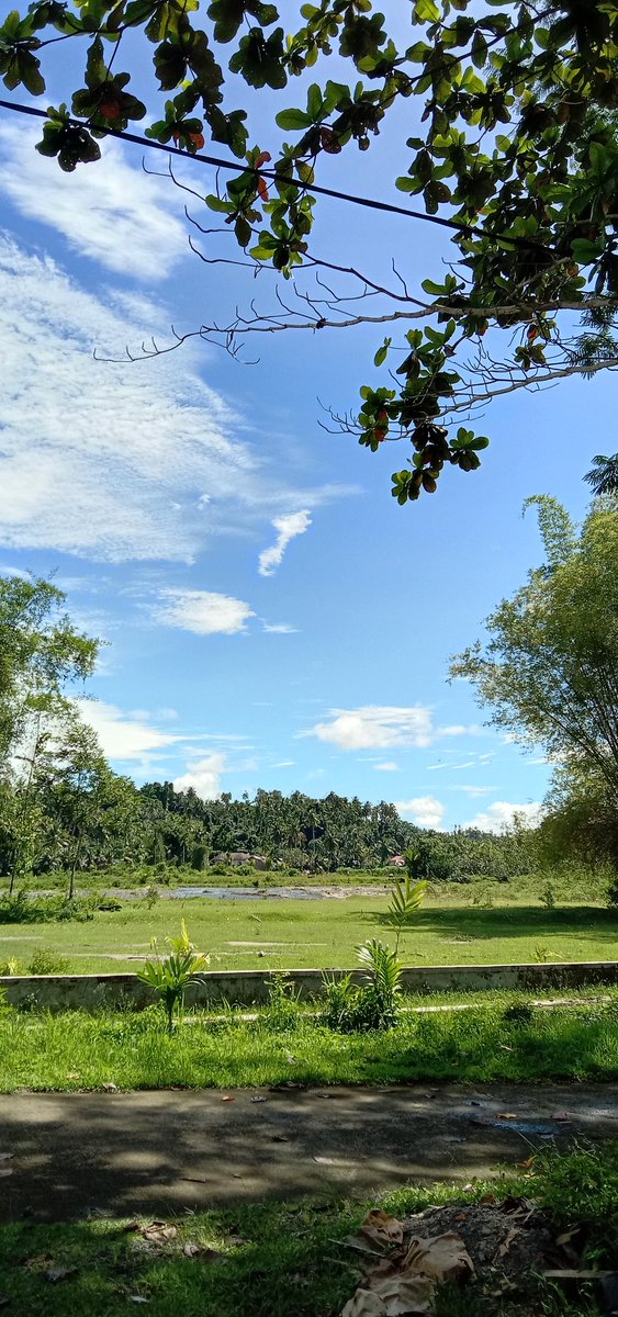 sakitbgtt's tweet photo. @tanyarlfes no filter https://t.co/0CAGsOnZJ0