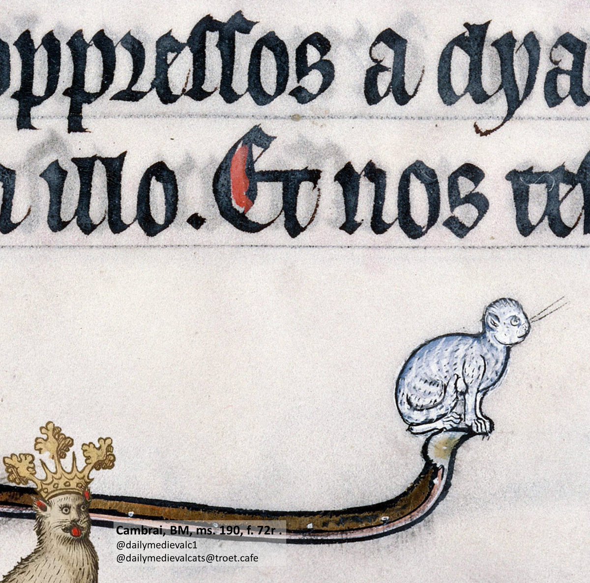 Far out.

Ms: Cambrai, BM, ms. 190, f. 72r. #medievalcat #medievaltwitter