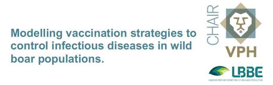 We are offering a #PhD scholarship on modelling vaccine
characteristics and vaccination strategies targeting wild boar to
control African swine fever in Europe.
#veterinary #PublicHealth #Lyon 

e2m2.universite-lyon.fr/ed-341-e2m2/si…