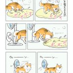 寝床を整えていた愛犬が偶然･･･!思わず和んじゃうような可愛い「犬漫画」が話題に!