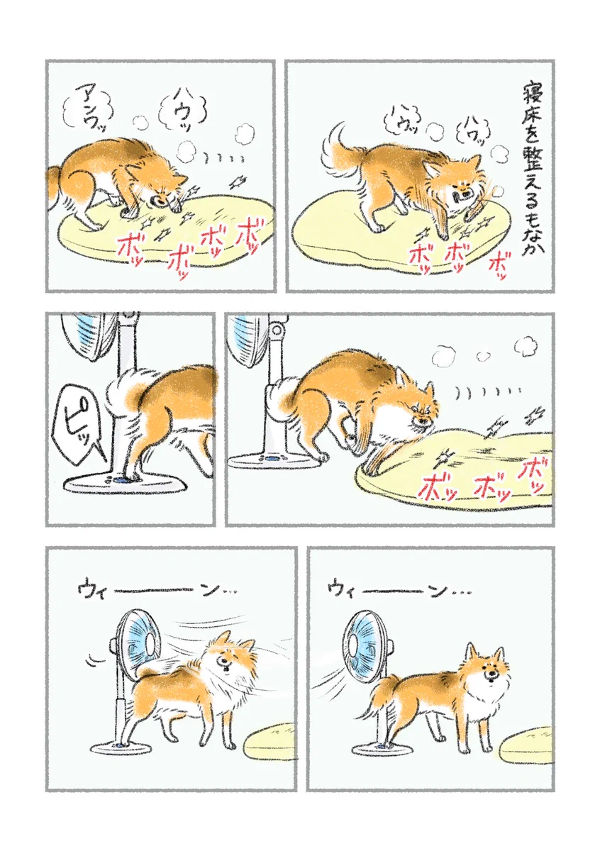 寝床を整えていた愛犬が偶然･･･！思わず和んじゃうような可愛い「犬漫画」が話題に！