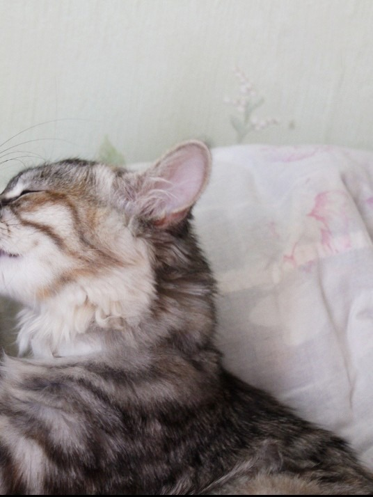 lovesickdoe's tweet image. could be us