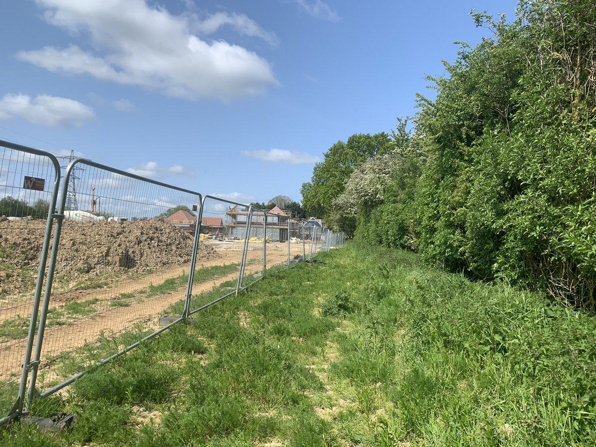 So easy to criticise new build estates but check this thread out about Grove Park at Sellindge by <a href="/Quinn_Estates/">Quinn Estates</a>  
1 - native hedgerow left in place in middle of and edge of site, I spotted a happy fox cub in its earth here amongst the  busy works ✅