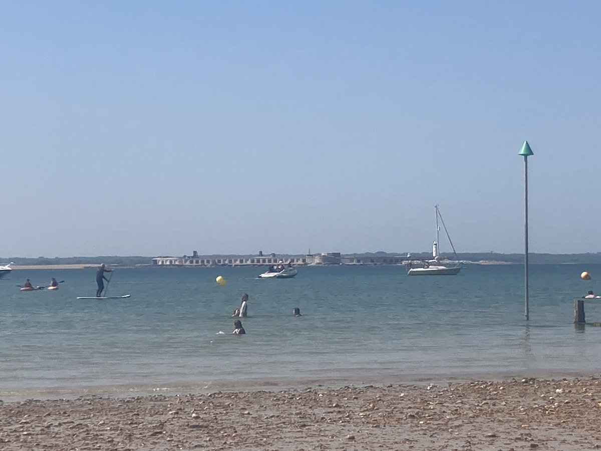 foodgrower's tweet photo. A morning #forage yesterday for #seabeet and #borageflowers from@our campsite. Then onto #colwellbay by bike for a #crabsandwich with a view and relax on the #beach #isleofwight #campervanadventures https://t.co/EGvRaA2j58
