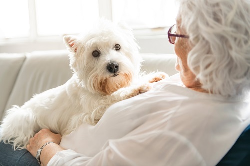 PenARC (NIHR ARC South West Peninsula) (@peninsula_arc) on Twitter photo A new <a href="/EvidSynthTeam/">EvidSynthTeam</a> study, led by <a href="/noreen_orr/">Noreen Orr</a>, has found evidence that, for many care home residents, interacting with animals is positive, offering an opportunity to maintain a sense of self.
📰Read more here: arc-swp.nihr.ac.uk/news/impact-an… A new <a href="/EvidSynthTeam/">EvidSynthTeam</a> study, led by <a href="/noreen_orr/">Noreen Orr</a>, has found evidence that, for many care home residents, interacting with animals is positive, offering an opportunity to maintain a sense of self.
📰Read more here: arc-swp.nihr.ac.uk/news/impact-an…