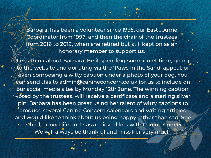 Sadly, one of our long-time members and supporters, Barbara Gasson passed away last week. Her funeral will be held today at 11:30AM.

#canineconcern #therapydogs #workingdogs #caredogs #ukcharity