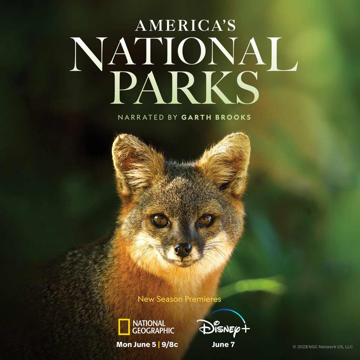 Are you ready for another adventure? Discover America's extraordinary wildlife in all-new episodes of #AmericasNationalParks, narrated by @GarthBrooks. 
Season 2 premieres on Monday, June 5 at 9/8c on National Geographic. Stream on @hulu and @DisneyPlus.
