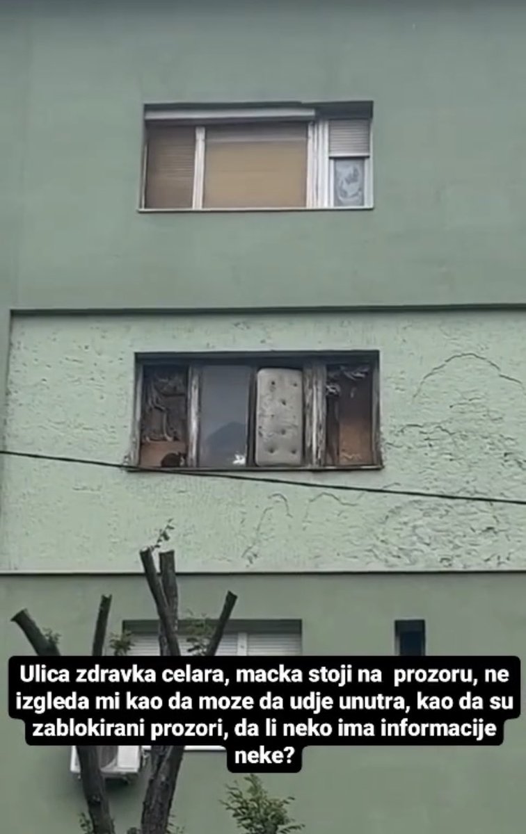 AnaZlo's tweet photo. MAČKA NA PROZORU! Da li je neko u prolazu ZDRAVKA ČELARA da vidi da li je maca i dalje tamo? Beograd! #caosvima #tagzivota #enaluna #dunjajo #ignjatovamama #udomi #udomljvanje #emilijamilojevic https://t.co/PyoZQfFE1f