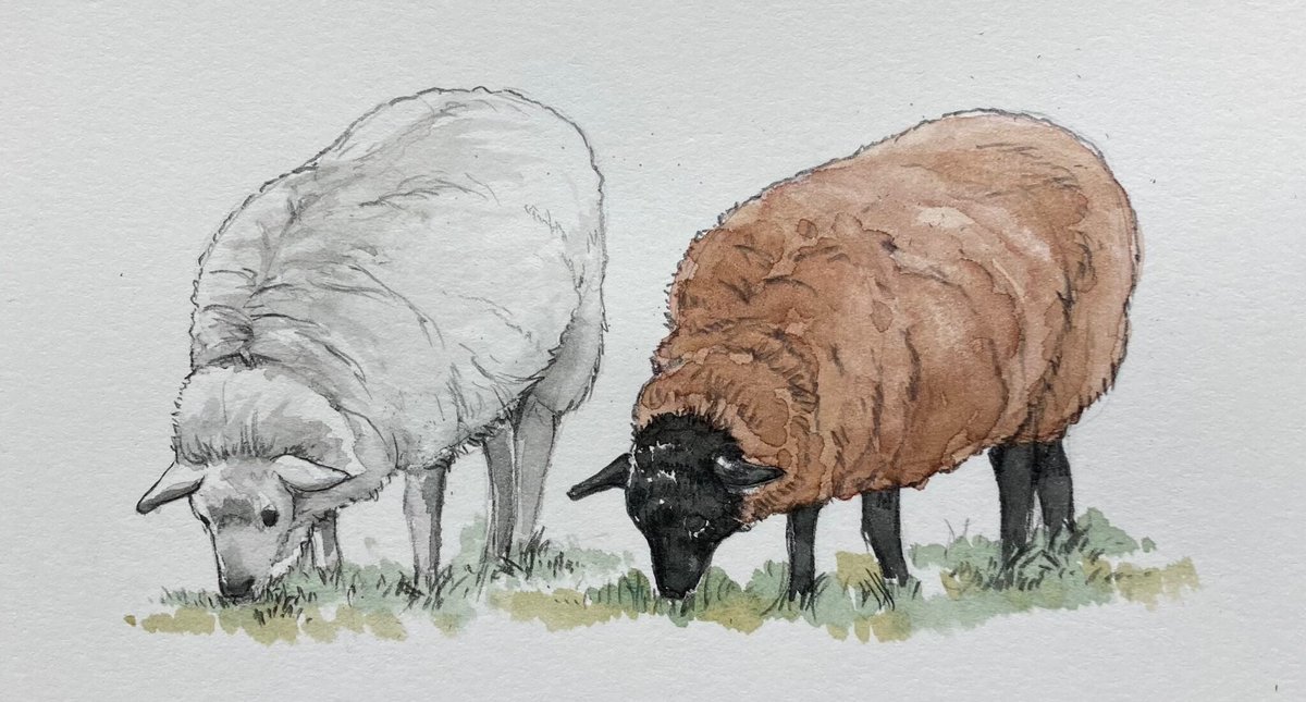 mswander's tweet image. Knitting creates more than sweaters. It creates social bonds. How? Read Susan M. Strawn's fantastic new memoir excerpt in The Blazing Star Journal. agarts.org/the-shetland-f…
#KnittingPattern 
#KnittingHour