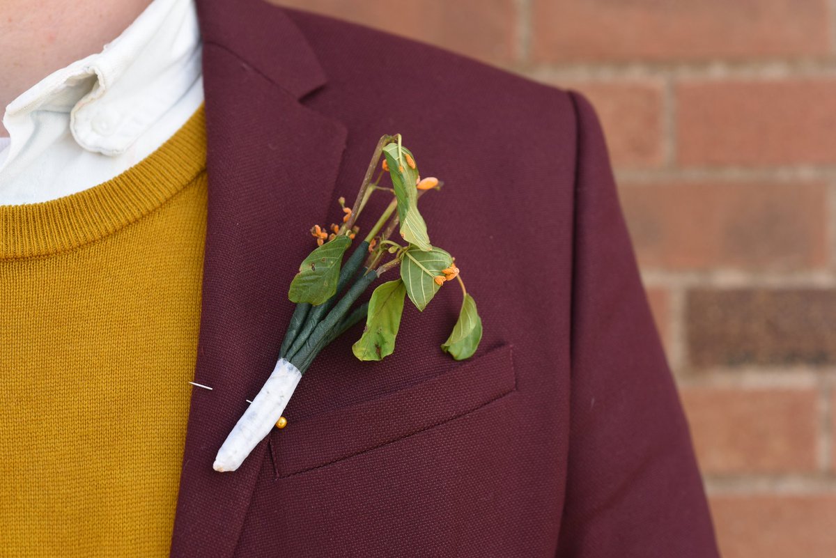 had to go out in style of course- a boutonniere made with crown rust aecia and a sweater hand dyed with the berries of common buckthorn, giving us a beautiful U of MN gold