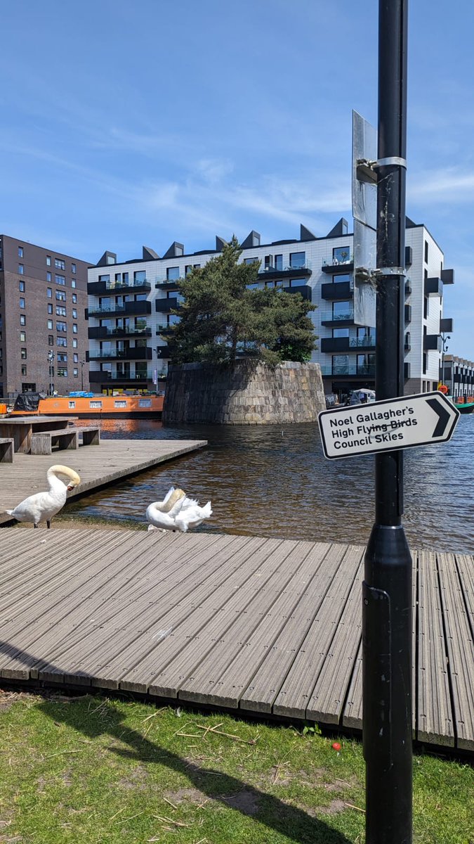 Noel Gallagher on Twitter "Spotted in Manchester 👀"
