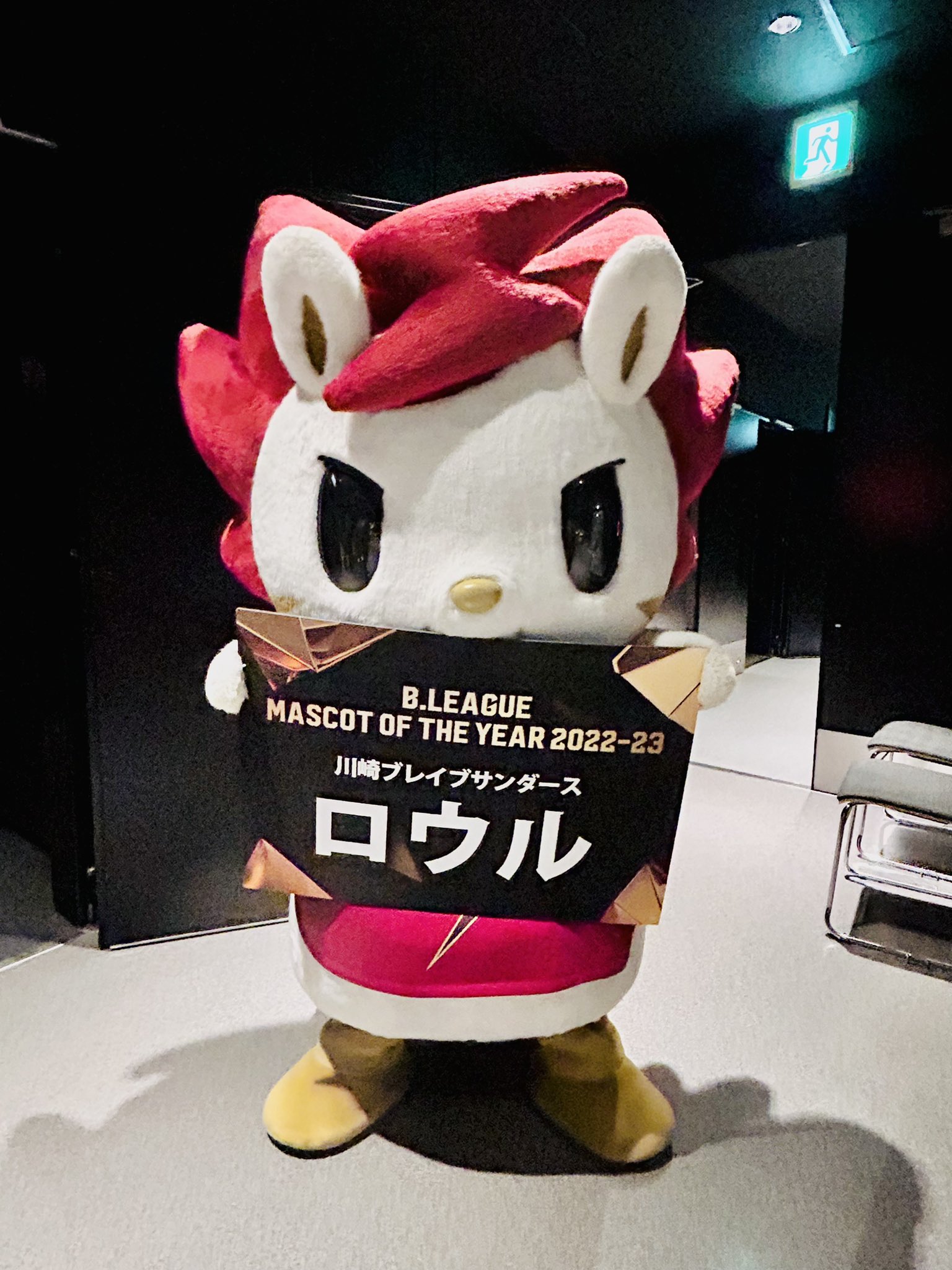 可愛すぎ…超レア】新作「サンタさんからの手紙ハンパー・バスケット