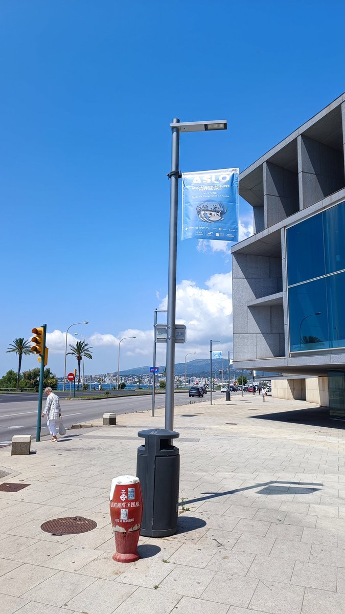 Not to be ignored! #ASLO23 is taking place this week in the congress centre, as demonstrated by the flags sponsored by @CSICBalears 😁 we made them specially in the color of the Mallorcan sky 😁😅