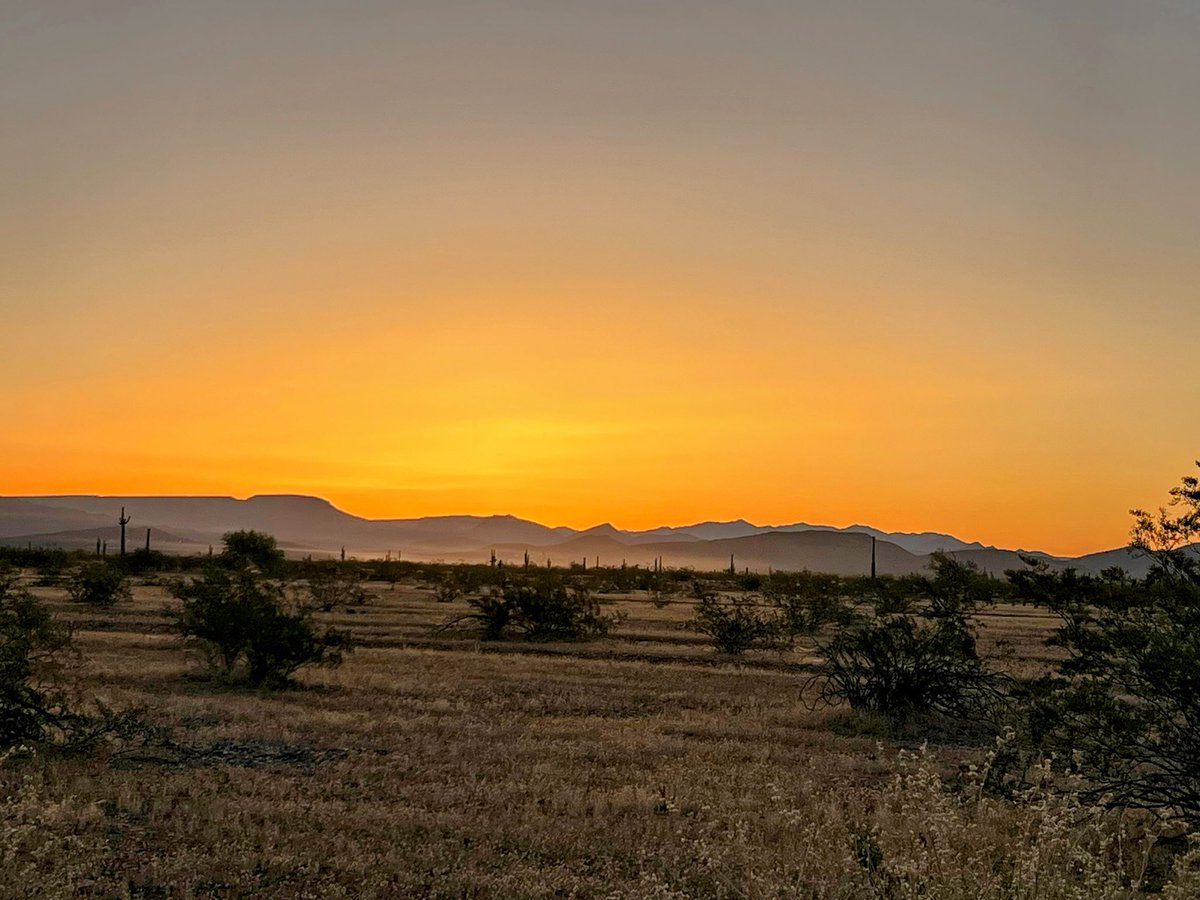 Still thinking about this sunrise from a week ago 🥵

#SouthwestUSA #HikeAZ