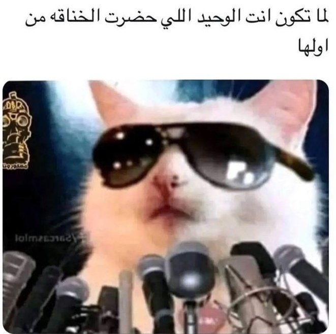 ميمز ✨ || 𝐅𝐈𝐕𝐄0 tweet media