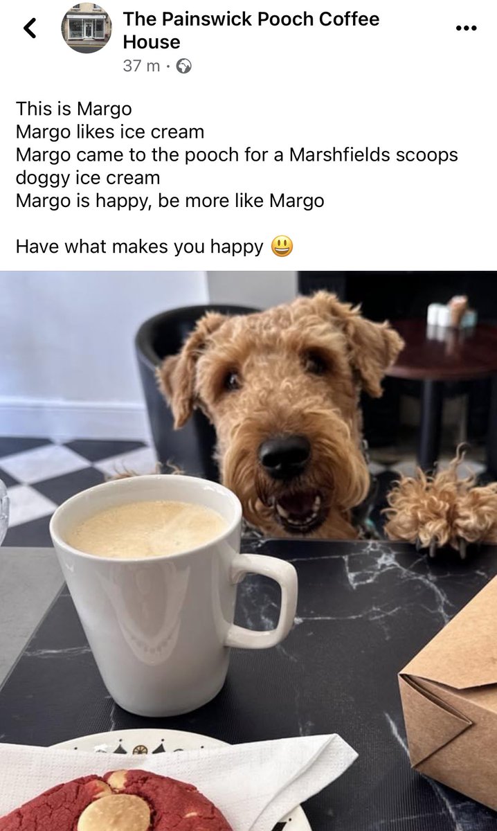Look pals. The <a href="/PainswickPooch/">The Painswick Pooch Coffee House</a> doggy-friendly coffee house has reopened in our village. We went to check it out, and they’ve made Margo their poster girl!