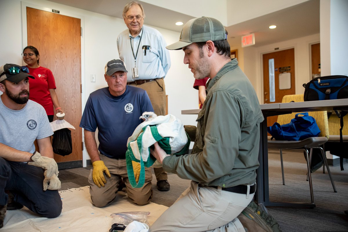 DuBoisFalcons tweet picture