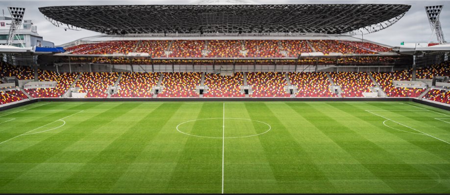 THE GRIFFIN PARK GRAPEVINE visual data 3