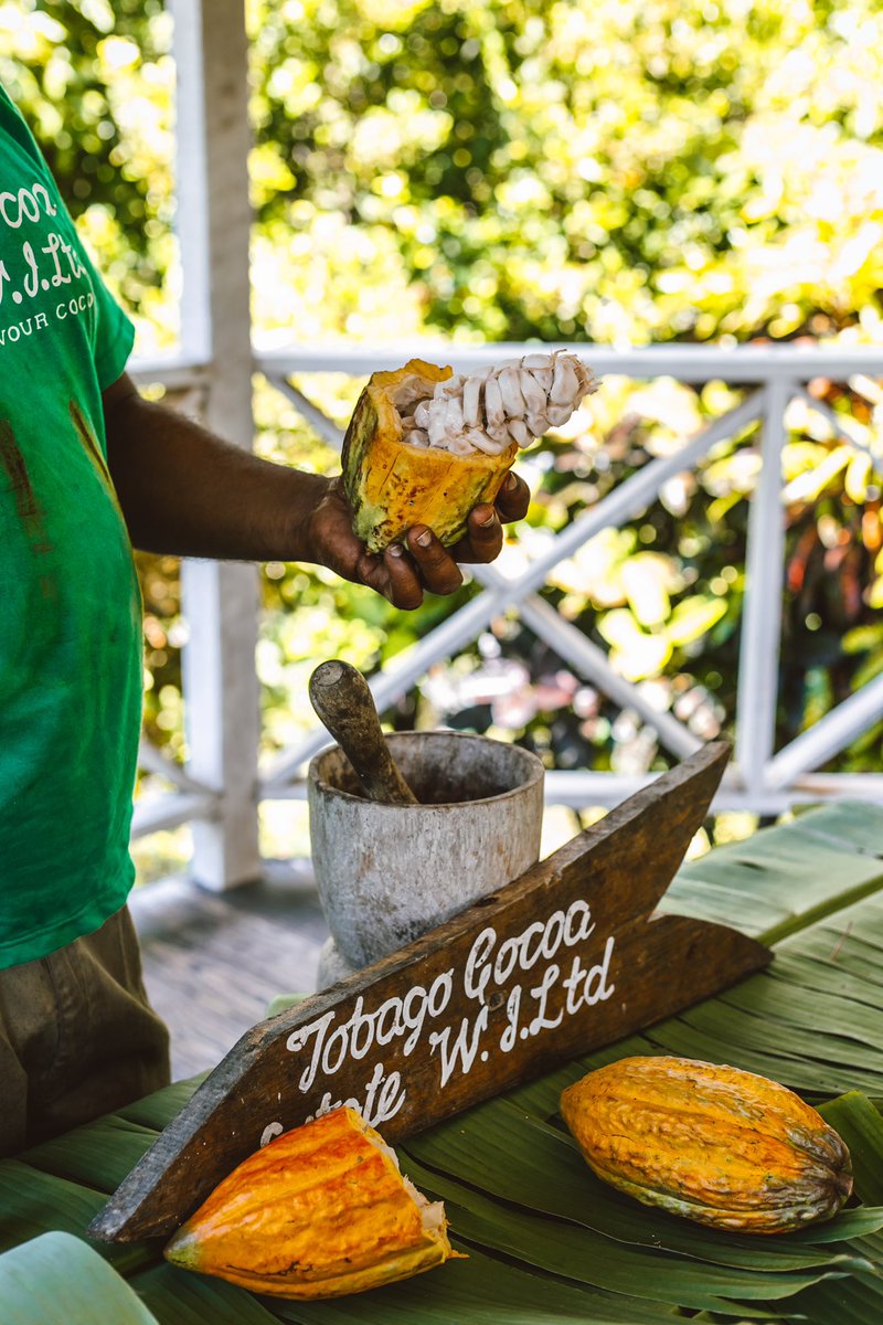 visit_tobago's tweet image. Laura wins Bronze! 🥉 The Tobago Cocoa Estate earns another accolade as their Laura 45% Dark Milk was awarded Bronze in the category: Micro-Batch Plain/origin chocolate bars at International Chocolate Awards European Finals last Saturday 🍫