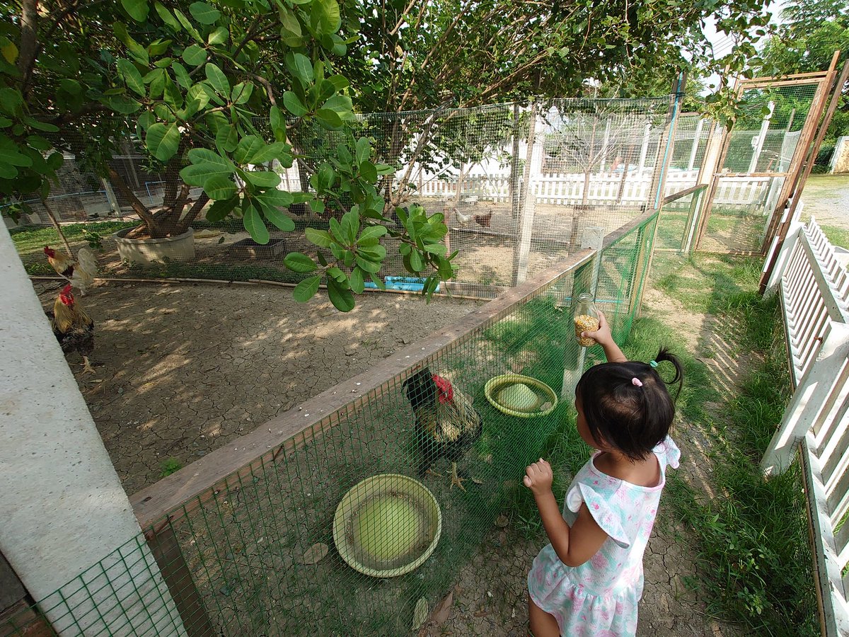 “ 𝙏𝙞𝙙𝙙𝙞𝙣 𝙘𝙖𝙛𝙚’ &amp; 𝙛𝙖𝙧𝙢𝙘𝙖𝙩𝙞𝙤𝙣 “  จ. สุพรรณบุรี

📍​maps.app.goo.gl/4f6Wai7axgyYv1…

📣ฝากติดตามหนูกับแม่ที่นี่จ้า
IG: instagram.com/maejaapaplearn/
FB: facebook.com/maejaapaplearn/

#เที่ยวสุพรรณบุรี  #คาเฟ่สุพรรณบุรี <a href="/Review_Thailand/">รีวิวไทยเเลนด์</a> <a href="/ReviewTourThai/">#รีวิวทั่วไทย - เที่ยวไทยแบบฮิปๆ</a> #ReviewThailand #คาเฟ่น่านั่ง