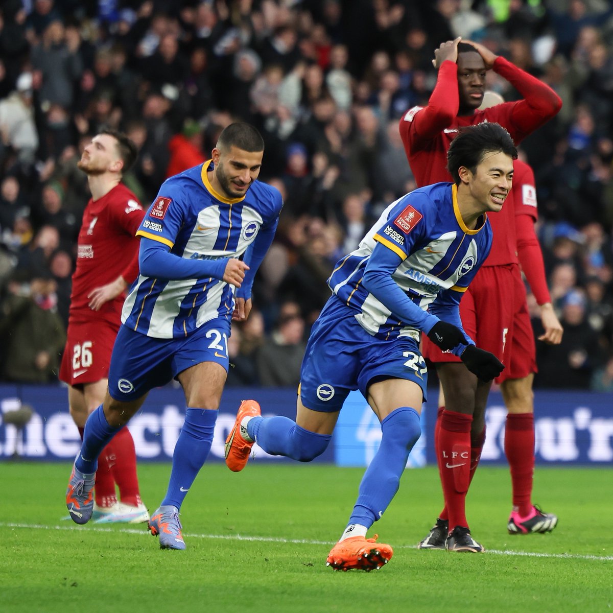 Brighton & Hove Albion tweet media