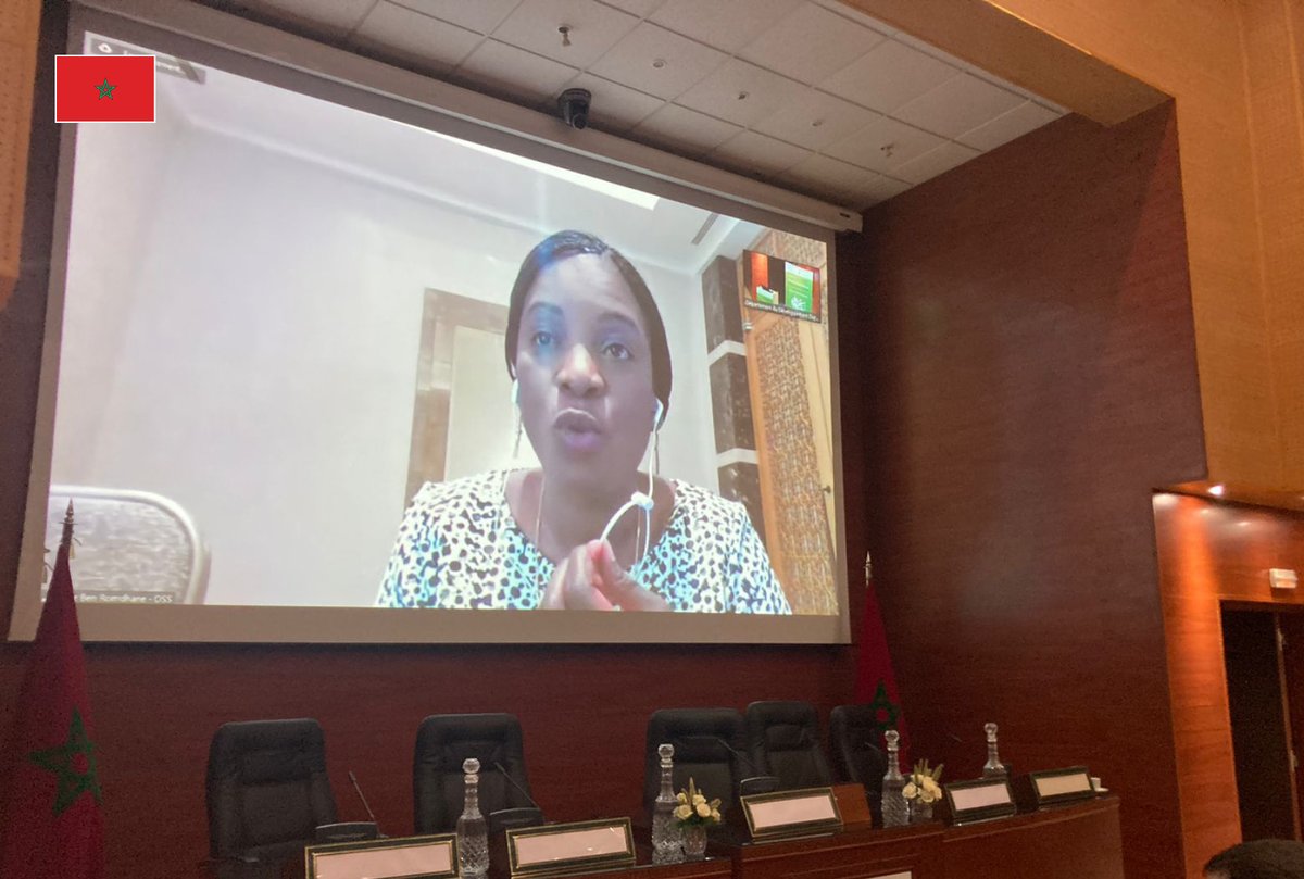 OSS_Comms's tweet photo. #Ecosystem Accounting of Natural Capital, a step towards #preserving our #continent and its #natural wealth. #Africa #copernicea #Biodiversity
👉https://t.co/uk2ZpUrVf2 https://t.co/ROryVHDytQ