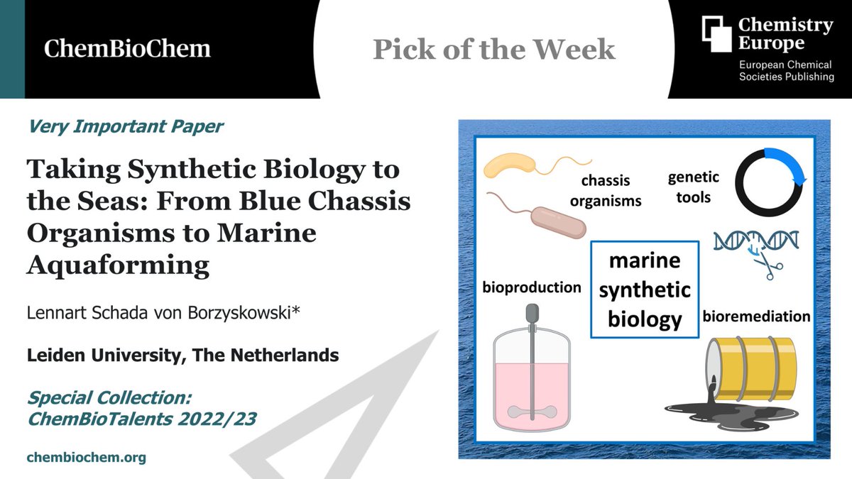 Pick of the Week, out #OpenAccess as a #VeryImportantPaper in @ChemBioChem by @LennartSchada at @LeidenBiology:

'Taking Synthetic Biology to the Seas: From Blue Chassis Organisms to Marine Aquaforming'🌊bit.ly/CBIC_0786 

Part of the #ChemBioTalents special collection!
